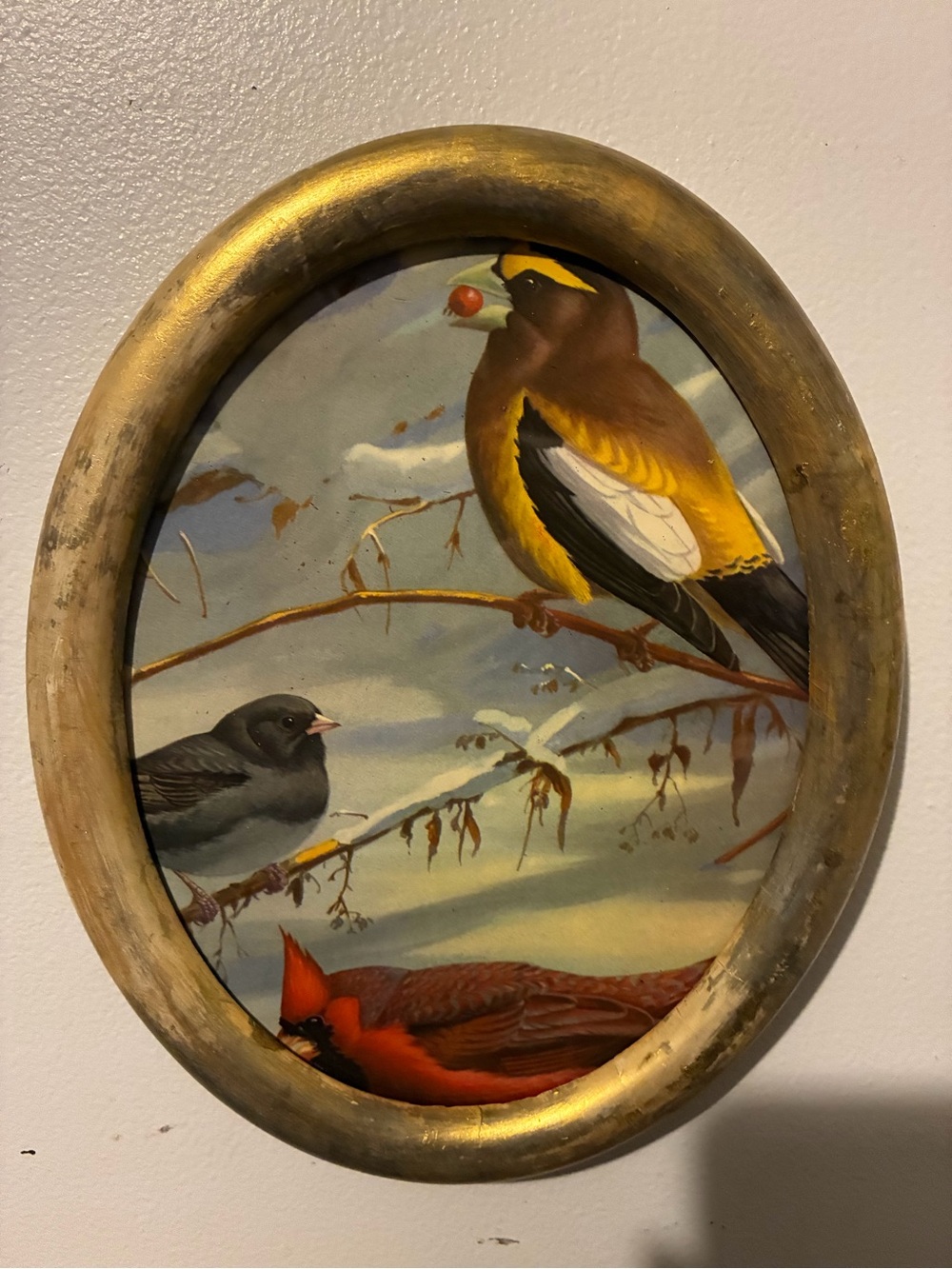 Decorative Oval Bird Wall Art - Gold Framed
